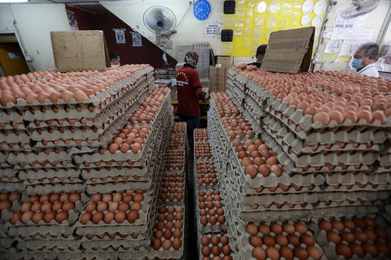 Deputy minister: Chicken, egg supply down by 2.7pc from last week’s figures