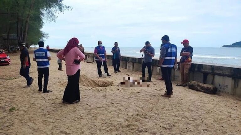 Gruesome Bukit Keluang beach discovery: 20 dead cats found, believed poisoned