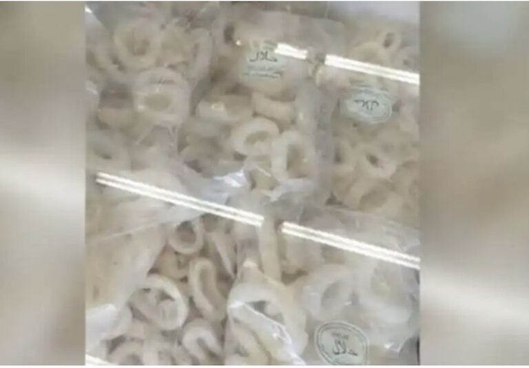 No pig DNA found in squid rings, says Fisheries Department