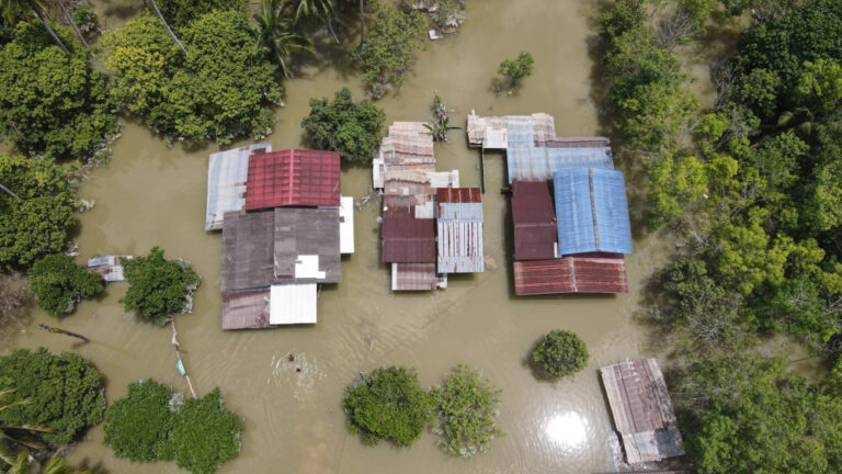 Agriculture and Food Industries Ministry to evaluate losses involving agrofood sector in flood-hit Kelantan, Terengganu