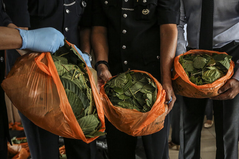 MPs urge federal govt to place ketum under Dangerous Drugs Act