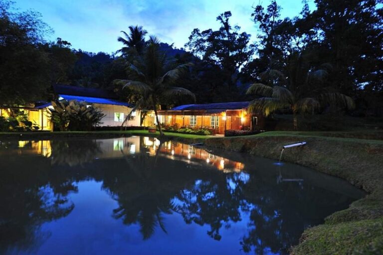 Despite borders reopening on April 1, Perak eco-tourism operators lament lack of bookings from foreign tourists