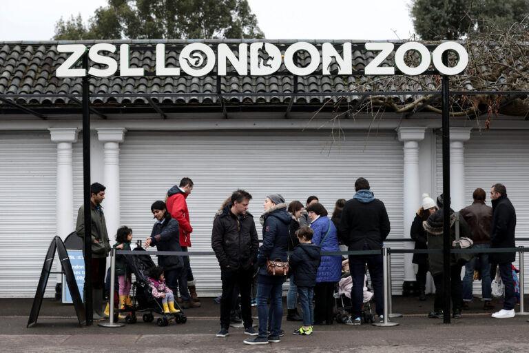 UK zoo names white rhino ‘Queenie’ for Elizabeth II