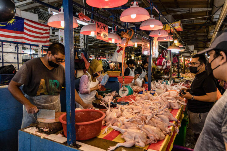 Chicken cartel: MyCC denies certain politicians being investigated, says CEO
