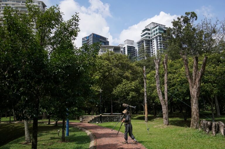 Taman Rimba Kiara: Land meant for residential development, not park, Federal Court heard