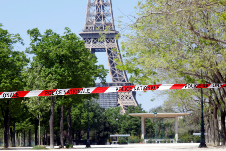 Parisians up in arms over plan to fell trees near Eiffel Tower