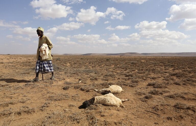 Donors pledge US$1.39b for Horn of Africa humanitarian aid