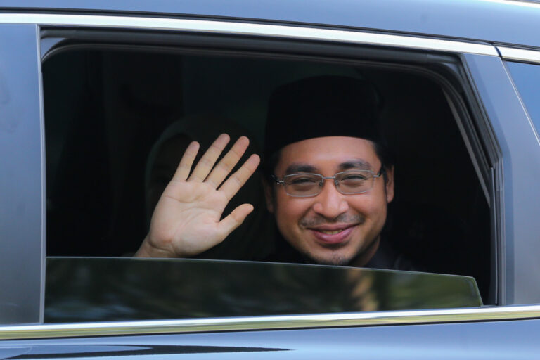Bersatu man says party has successfully become alternative to Umno; Chinese vote for DAP to protect ‘communal interests’