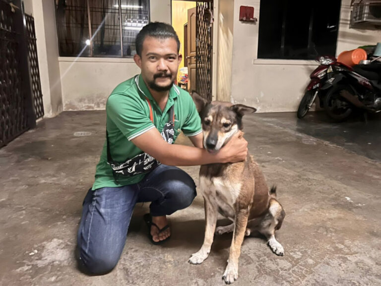 After two years, Johor man finally reunited with loyal adopted dog that waited for him everyday