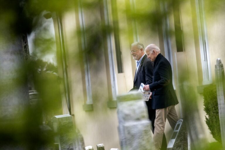 Biden to order protection of ancient US forests