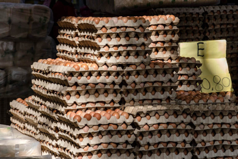 Domestic Trade Ministry says chicken egg supply sufficient in Penang