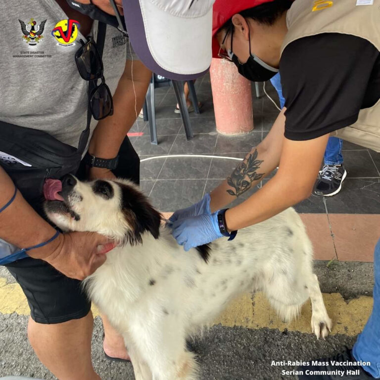 Vet Services Dept: Over 300 dogs vaccinated against rabies in Kuching, Serian