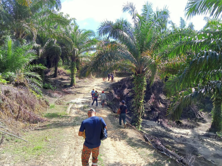 Fire and Rescue Dept: Missing elderly man found safe by plantation workers in Sarawak
