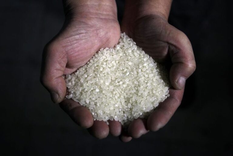 India starts supplying rice to Sri Lanka in first major food aid