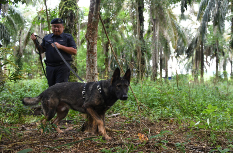 Home minister: 104 Rohingya detainees still on the loose