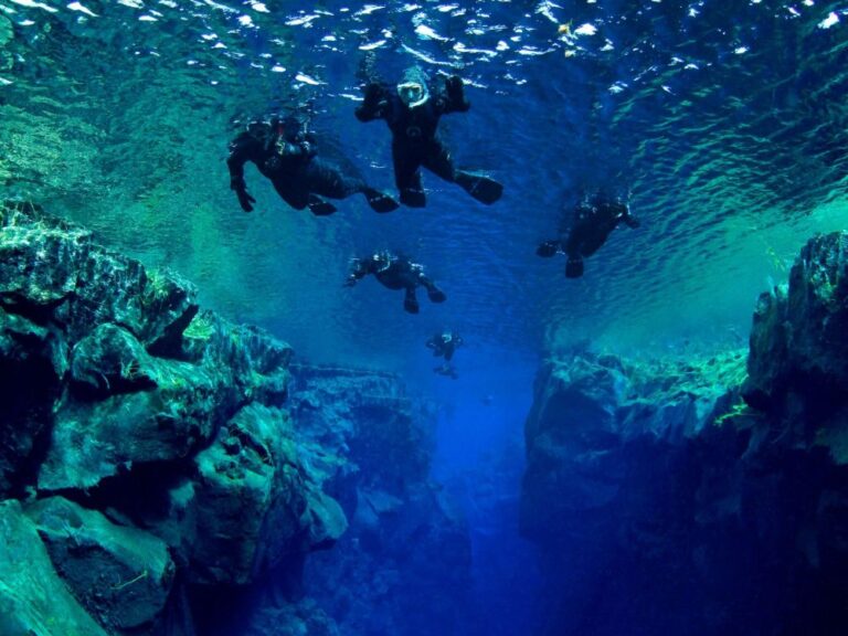 Mersing district officer orders scuba diving, snorkelling activities in its waters to stop immediately