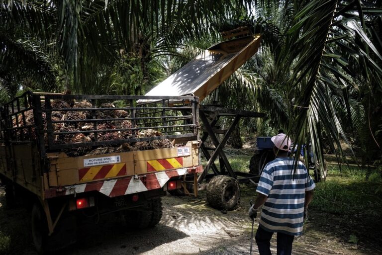 Sarawak seeks federal approval to recruit workers from countries apart from Indonesia, according to state deputy minister