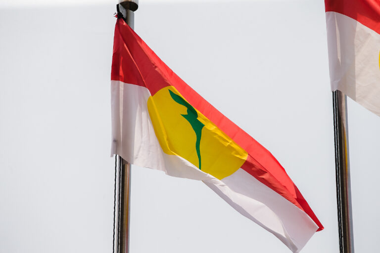 Analysts: Umno EGM to showcase party’s strength and unity as it gears up for GE15
