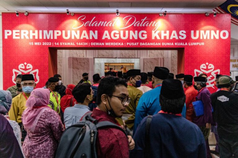 Umno amends party constitution to delay internal polls until after general elections