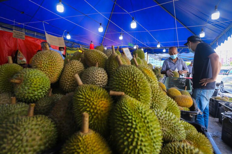 Report: Malaysian durian lovers to pay more for their fix as production falls by 60pc