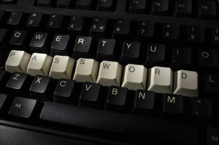 US tech titans look to ditch passwords