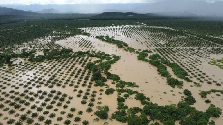 Some 4,000 villagers in Sabah stranded after bridge collapses after continuous downpour