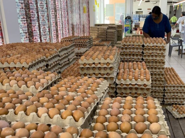 Eggs shortage issue to be discussed at Cabinet meeting tomorrow, says inflation task force chief