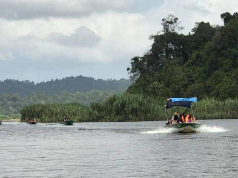 Pahang exco: All recommendations to improve Tasik Chini implemented