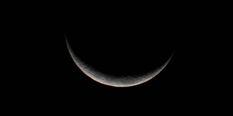 Australia seeks to grow plants on Moon by ’25