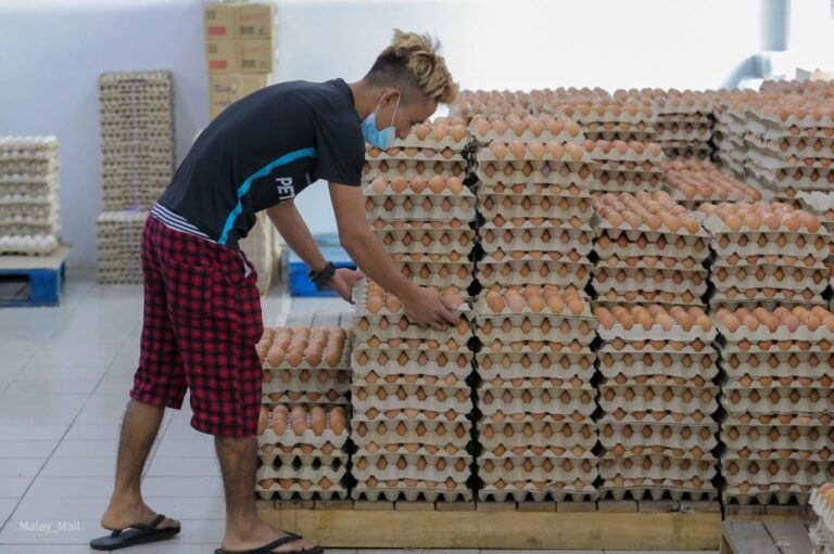 Shortage of egg supply due to rising costs of operation, will be corrected with subsidies, says minister
