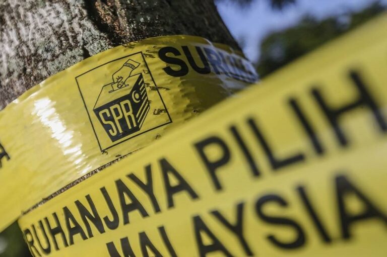 Application for postal voting now open, says EC