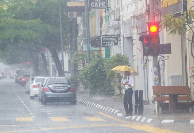 Continuous rain: Annuar Musa wants MCMC, telcos to monitor flood-prone towers