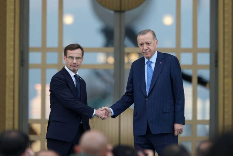 Turkey seeks Ukraine peace talks despite Western actions, Erdogan says