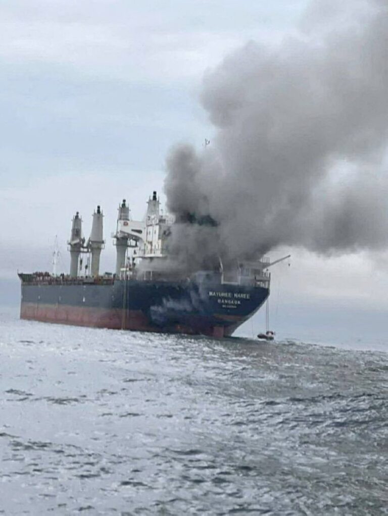 Thai crew of ship struck in Strait of Hormuz sue operators for negligence