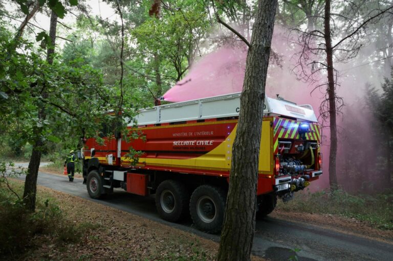 Wildfires ravage over 1,300 hectares of historic forest near Paris