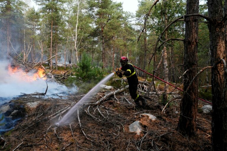 Volunteer firefighter held over suspected blaze in France’s Fontainebleau forest