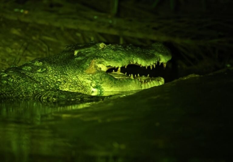 Licensed hunter warns fishermen after giant 16.9‑foot crocodile spotted during Bintulu river operation