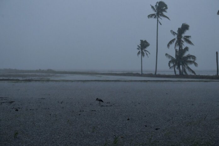 Thunderstorms, heavy rain expected in nine states, Putrajaya until 1pm today, says MetMalaysia