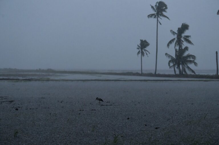 Thunderstorms, heavy rain expected in nine states, Putrajaya until 1pm today, says MetMalaysia 