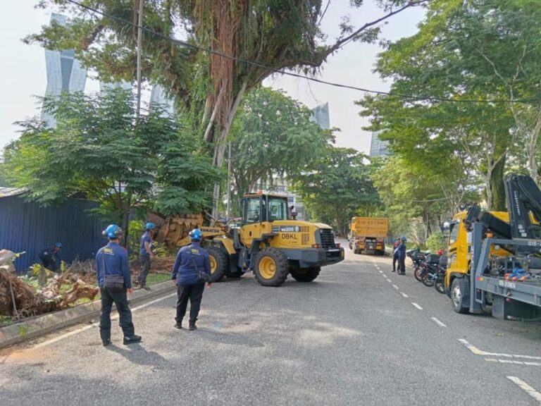 DBKL ramps up tree mitigation works to improve public safety