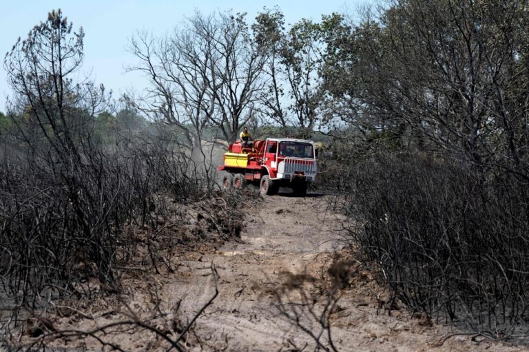France, Spain evacuate 160,000 as wildfires tear through Bordeaux and Madrid