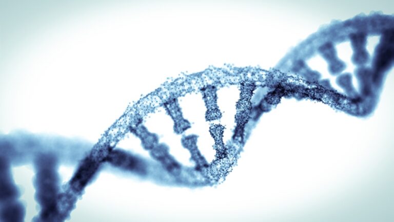 Chinese university investigates six‑year‑old’s death allegedly tied to experimental gene‑editing therapy