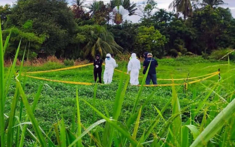 Police: Farmer spraying pesticides discovers sack with skeletal remains at Kangar farm