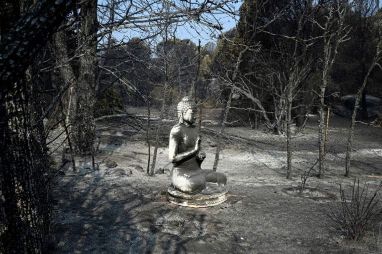 Returning home after the wildfires, one Spanish village confronts what remains