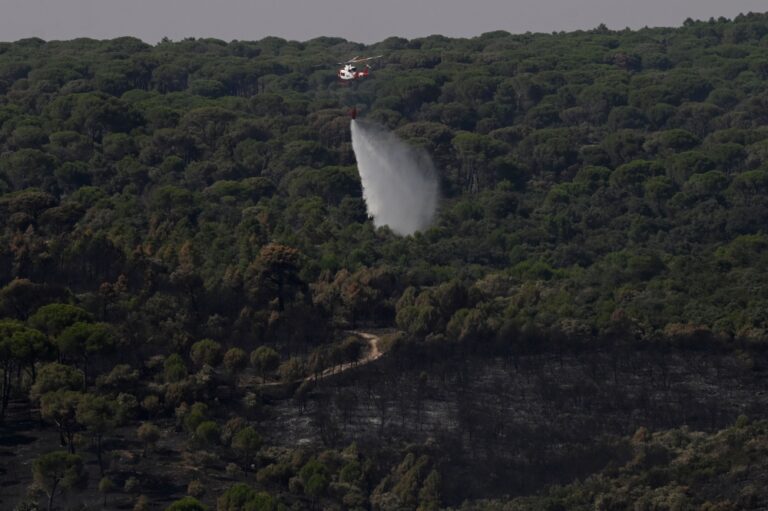 Spain wildfires: Thousands return as crews battle to contain flames