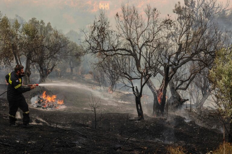 Three firefighters killed as gale-force winds fan wildfires across Greece