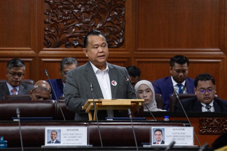 Works minister: LPT2 concessionaire to repair fence, review long‑term safety after elephant crash