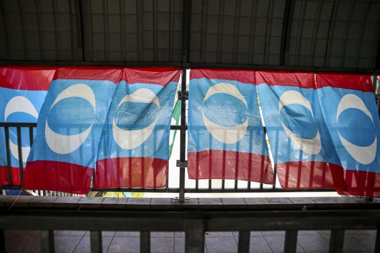 PKR Selangor delegate calls for party to use own logo in Melaka polls