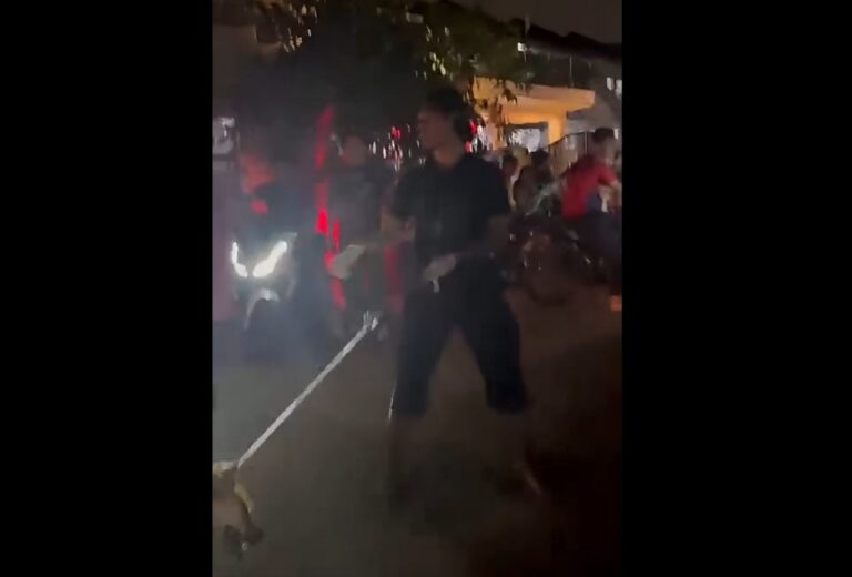 Rocky case: Klang council volunteer claims trial over alleged animal cruelty in dog’s death