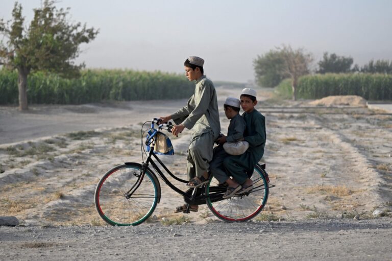 One million children in Afghanistan risk dying from ‘severe malnutrition’, says UN
